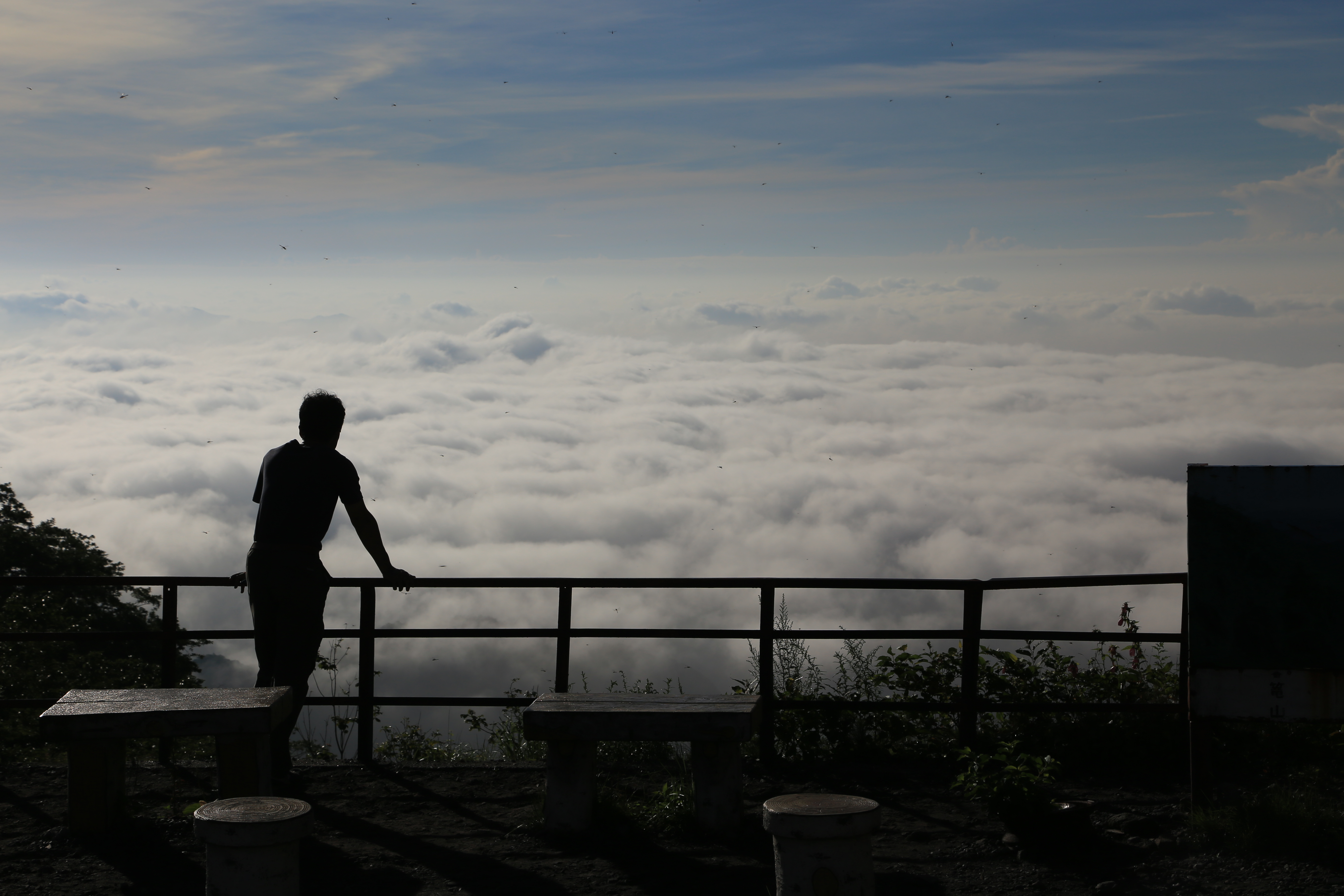 a sea of clouds seen from Torii Toge viewpoint